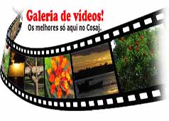 Galeria de Videos